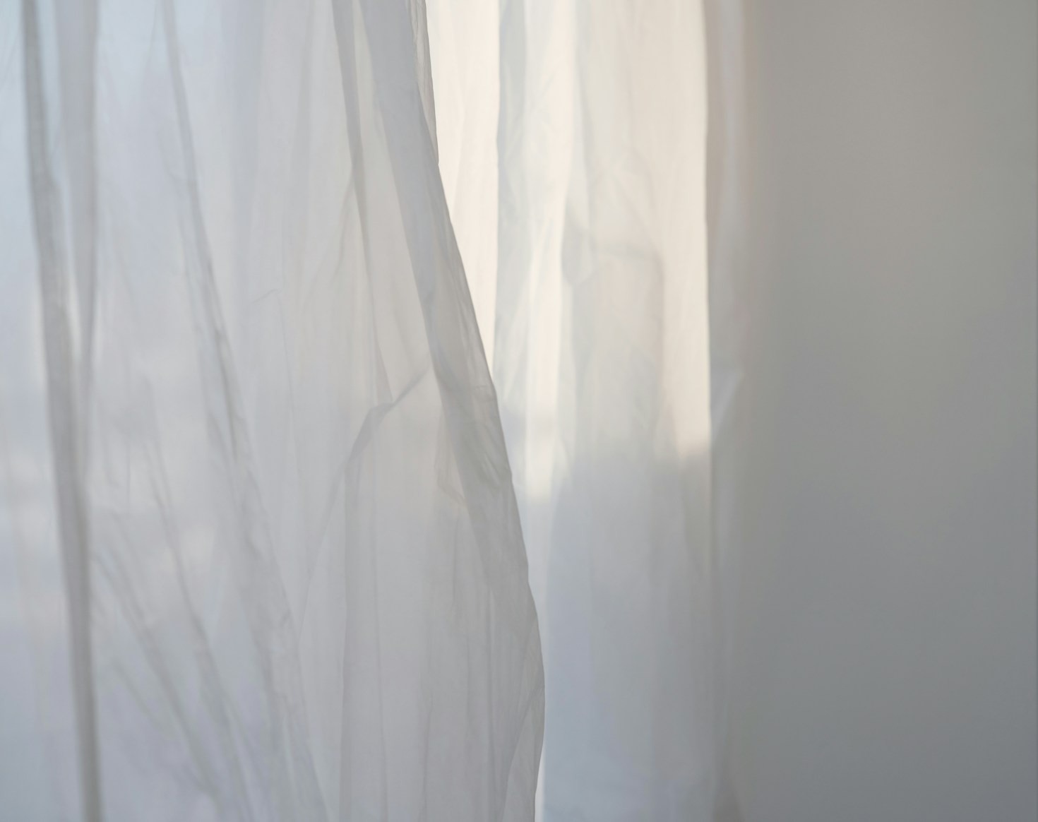 Capturing Quiet Poetry: A Photographer’s Journey