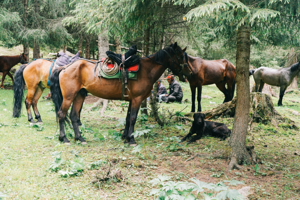 Documentary photography of nomads in Xinjiang