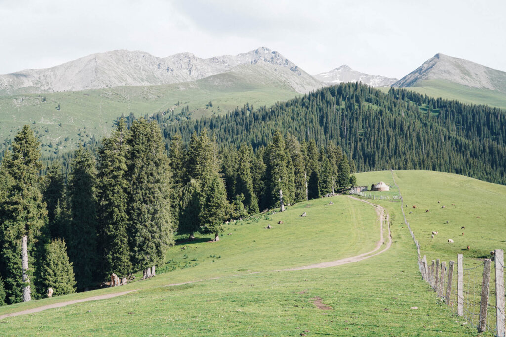 Documentary photography of nomads in Xinjiang